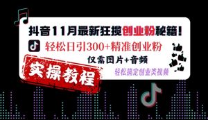 抖音11月最新狂揽创业粉秘籍,轻松日引300+精准创业粉,仅需图片+音频,轻松搞定创业类视频-木石资源网