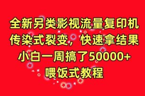 全新另类影视流量复印机,传染式裂变,快速拿结果,小白一周搞了50000+,喂饭式教程【揭秘】-木石资源网