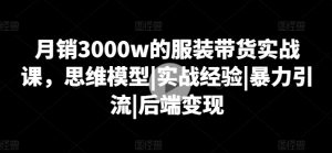 月销3000w的服装带货实战课,思维模型|实战经验|暴力引流|后端变现-木石资源网