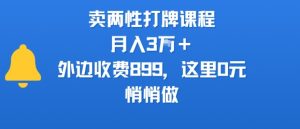 卖两性打牌课程，月入3W+外边收费899的课程，这里0元，悄悄做-木石资源网