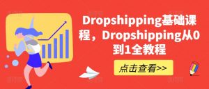 Dropshipping基础课程,Dropshipping从0到1全教程-木石资源网