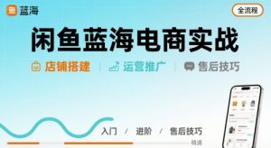 闲鱼蓝海电商实战,店铺搭建运营售后全流程-木石资源网