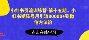 小红书引流训练营-第十五期,小红书矩阵号月引流80000+到微信方法论-木石资源网