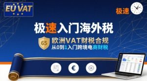 极速入门海外税,欧洲VAT财税合规,从0到1入门跨境电商财税-木石资源网