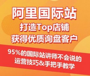 【阿里国际站】打造Top店铺&获得优质询盘客户,95%的国际站讲师不会说的运营技巧-木石资源网