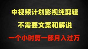 中视频计划影视纯剪辑,不需要文案和解说,一个小时剪一部,100%过原创月入过万【揭秘】-木石资源网