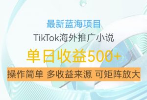 最新蓝海项目，利用tiktok海外推广小说赚钱佣金，简单易学，日入500+，可矩阵放大【揭秘】-木石资源网