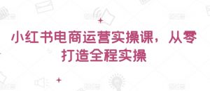 小红书电商运营实操课,从零打造全程实操-木石资源网