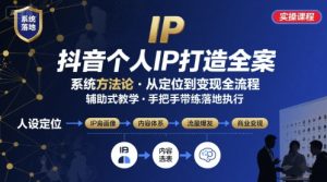 抖音个人IP系统落地实操大课,实操课程,辅助落地-木石资源网