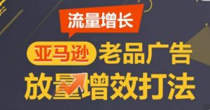 亚马逊流量增长-老品广告放量增效打法,循序渐进,打造更多TOP listing-木石资源网