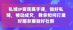 私域IP变现高手课,做好私域,被动成交,教你如何打造好朋友圈做好社群-木石资源网