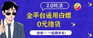 外面收费2980的全平台通用白嫖撸货项目2.0玩法【仅揭秘】-木石资源网