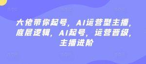 大佬带你起号,AI运营型主播,底层逻辑,AI起号,运营晋级,主播进阶-木石资源网