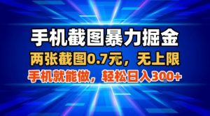 手机截图暴力掘金，两张截图0.7米，一部手机就能做，轻松日入3张+【揭秘】-木石资源网