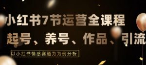 7节小红书运营实战全教程,结合最新情感赛道,打通小红书运营全流程【揭秘】-木石资源网
