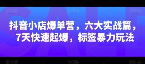 抖音小店爆单营,六大实战篇,7天快速起爆,标签暴力玩法-木石资源网