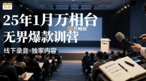 25年1月万相台无界爆款特训营线下录音-木石资源网