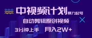 中视频计划暴力起号,自动剪辑原创视频,3分钟上手,月入2W+【揭秘】-木石资源网