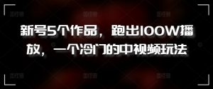 新号5个作品,跑出100W播放,一个冷门的中视频玩法【揭秘】-木石资源网