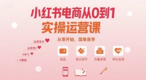 小红书电商从0到1实操运营课,从零开始,简单易学-木石资源网