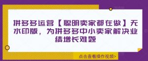 拼多多运营【聪明卖家都在做】无水印版,为拼多多中小卖家解决业绩增长难题-木石资源网