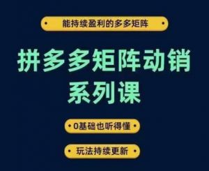 拼多多矩阵动销系列课,能持续盈利的多多矩阵,0基础也听得懂,玩法持续更新-木石资源网
