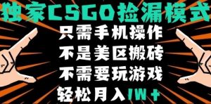 CSGO自动捡漏项目,最新独家玩法,不是美区搬砖,不需要了解和玩游戏,新手小白轻松月入1W+【揭秘】-木石资源网