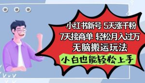 小红书影视泥巴追剧5天涨千粉,7天接商单,轻松月入过万,无脑搬运玩法【揭秘】-木石资源网