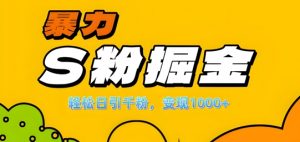 单人单机日引千粉,变现1k+,S粉流量掘金计划攻略【揭秘】-木石资源网