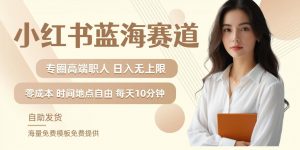 小红书蓝海赛道,圈中高端职场人,月入无上限,可矩阵,内含私域实操教程!-木石资源网