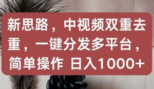 新思路,中视频双重去重,一键分发多平台,简单操作,日入1000+【揭秘】-木石资源网
