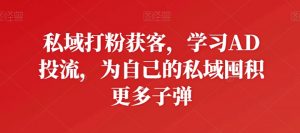 私域打粉获客,学习AD投流,为自己的私域囤积更多子弹-木石资源网