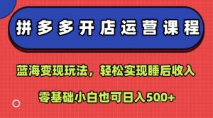 拼多多开店运营课程:蓝海变现玩法,轻松实现睡后收入,零基础小白也可日入5张-木石资源网