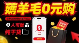 薅羊毛0元购,免单还倒挣钱的暴力玩法,人人可做,纯干货-木石资源网