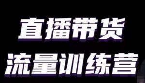 直播带货流量训练营,小白主播必学直播课-木石资源网