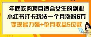 年底吃肉项目适合女生的副业小红书打卡玩法一个月涨粉6万+变现能力强+单月收益5位数【揭秘】-木石资源网