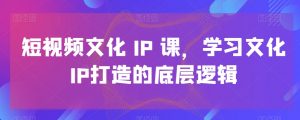 短视频文化IP课,学习文化IP打造的底层逻辑-木石资源网