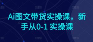 Ai图文带货实操课,新手从0-1 实操课-木石资源网