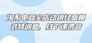 淘系电商全店动销经营模式特训营,线下课录音-木石资源网
