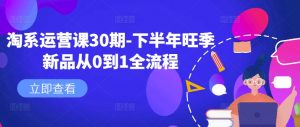 淘系运营课30期-下半年旺季新品从0到1全流程-木石资源网