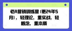老A营销训练营(更24年6月),轻理论,重实战,轻概念,重本质-木石资源网