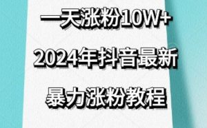 抖音最新暴力涨粉教程,视频去重,一天涨粉10w+,效果太暴力了,刷新你们的认知【揭秘】-木石资源网