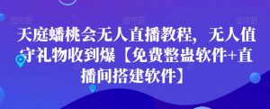 天庭蟠桃会无人直播教程，无人值守礼物收到爆【免费整蛊软件+直播间搭建软件】-木石资源网