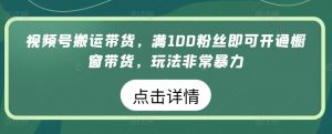 视频号搬运带货，满100粉丝即可开通橱窗带货，玩法非常暴力【揭秘】-木石资源网