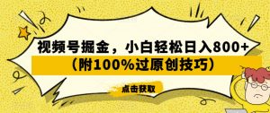 视频号掘金，小白轻松日入800+（附100%过原创技巧）【揭秘】-木石资源网