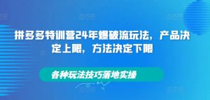 拼多多特训营24年爆破流玩法,产品决定上限,方法决定下限,各种玩法技巧落地实操-木石资源网