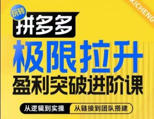 拼多多极限拉升盈利突破进阶课,从算法到玩法,从玩法到团队搭建,体系化系统性帮助商家实现利润提升-木石资源网
