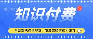 2024最新知识付费项目,小白也能轻松入局,全网都在教你做项目,我教你做镰刀【揭秘】-木石资源网