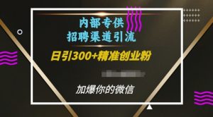内部招聘渠道日引流300+创业粉,加爆你的微信【揭秘】-木石资源网