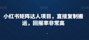 小红书矩阵达人项目,直接复制搬运,回报率非常高-木石资源网